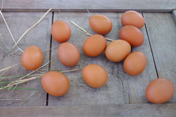 Chicken eggs in nest of straw on old wooden background.