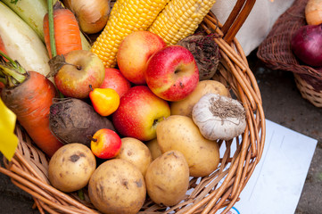 Autumn harvest: basket with vegetables and fruits, potatoes, apples, beets, garlic, corn, carrots