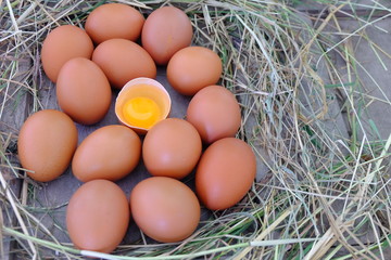 Chicken eggs in nest of straw on old wooden background.