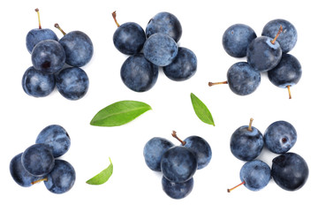 The fruits of blackthorns isolated on white, top view