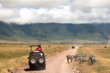 Zebra and Jeep in Ngorongoro Conservation Area Tanzania