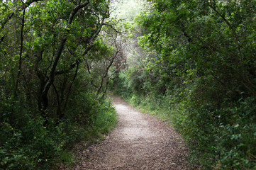 Chemin de l'ermitage
