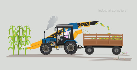 Obraz premium Farmers are harvesting agricultural products using machines.