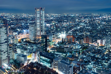 Naklejka premium 都市風景 東京