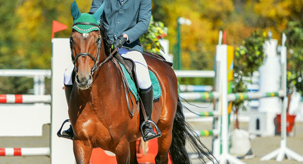 Sorrel dressage horse and rider in uniform performing jump at show jumping competition. Equestrian...