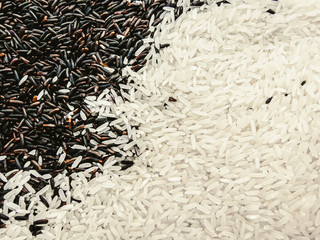 organic rice berry with jasmine rice