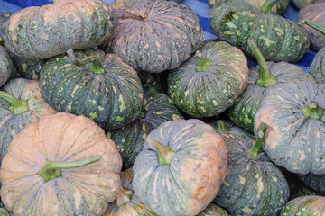 Fototapeta na wymiar Pumpkin sold in the morning market 