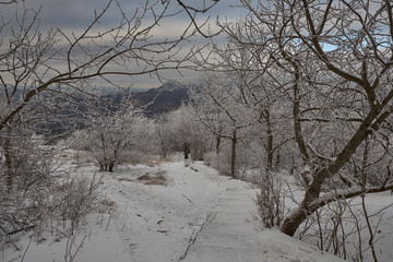 Pyatigorsk from Mount Mashuk