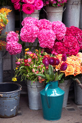 colorful variety of flowers sold in the market in London.