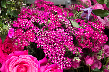 colorful variety of flowers sold in the market in London.