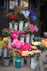Fototapeta na wymiar colorful variety of flowers sold in the market in London.