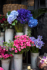 colorful variety of flowers sold in the market in London.