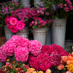 colorful variety of flowers sold in the market in London.