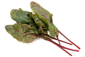 Obraz premium ビーツ