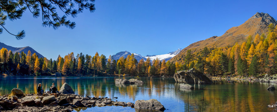 Panorama view at the afternoon sunset  hous at the Lake Saoseo with yellow larch trees in fall season, Canton Grison, Switzerland