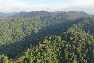 Aerial photo tropical rainforest in Sumatra, Indonesia 