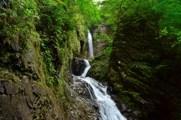 Obraz premium 那須塩原 竜化の滝