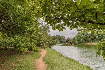 Ibirapuera São Paulo