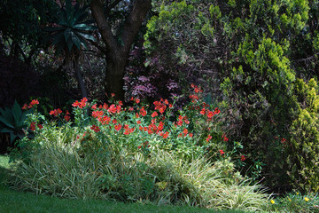 Obraz premium garden idyll