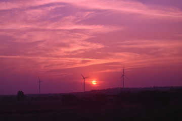 Fototapeta na wymiar A Beautiful sunset while the windmills giving a perfect click