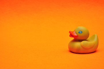 A rubber duck on an orange background