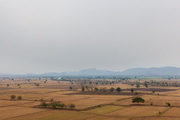 Obraz premium The sky was cloudy and foggy on agricultural area already collected and beautiful view.