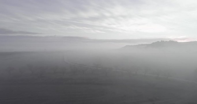 Frozen fields on foggy morning in LLeida Catalonia Spain