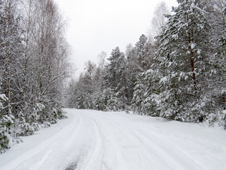 Obraz premium Nature in the winter