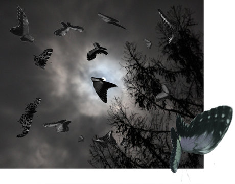 La Luna Gliders across the Moon