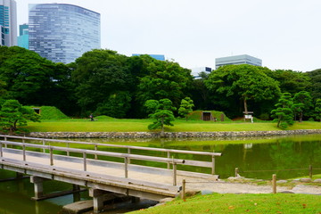 Large and attractive landscape garden in Tokyo. Japanese garden on the background of modern buildings