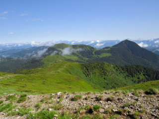 Landscape in the mountains