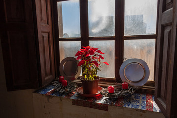 Window decorated with red christmas plants