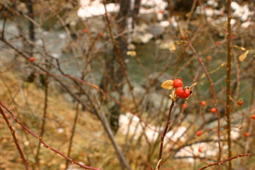 Andorra. The Pyrenees country between France and Spain.