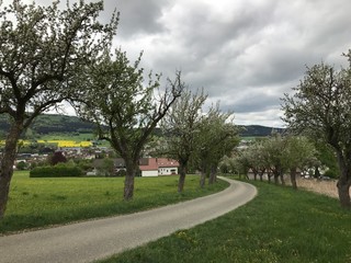 Spaichingen (Baden-Württemberg)
