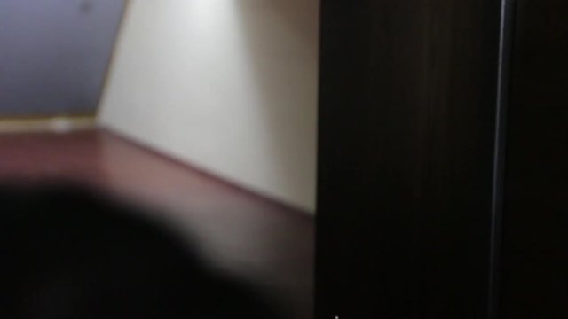 The Girl Shoots Revolver Gun