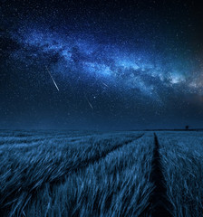 Big and blue milky way over field at night