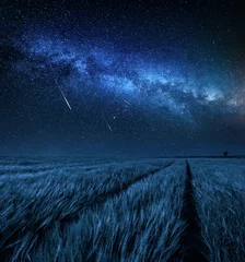 Selbstklebende Fototapete Land Big and blue milky way over field at night