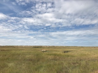 Obraz premium Wangerooge (Niedersachsen)