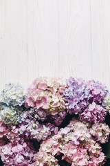 Beautiful hydrangea flowers on rustic white wood, flat lay. Colorful pink,blue,green,white border of hydrangea, greeting card with space for text. Hello spring. Happy mothers day. Women day