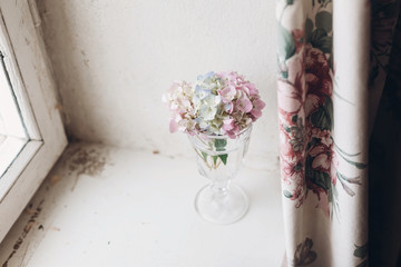 Beautiful hydrangea flowers in vintage glass with water on rustic white wood of old windowsill. Countryside still life. Happy mothers day. Creative tender spring image