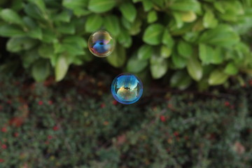 soap bubbles