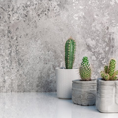A stone empty wall with space for text. White shelf with cactuses in concrete DIY pots lined up in rows. Home decoration. Front view