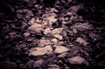 Gravel dirt road close-up