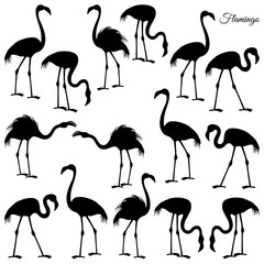 Naklejka premium Zestaw flaminga do cięcia laserowego. Sylwetka egzotyczne ptaki w różnych pozach, kolekcja elementów dekoracyjnych. Ilustracja na białym tle wektor na białym tle.