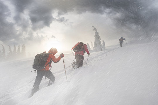 climbers in mountain snowfall