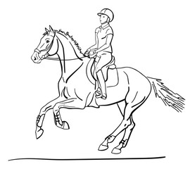 Rider and horse is cantering. Vector sketch.