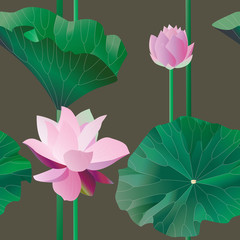 Two pink lotus on stalks with leaves on a brown background. Vect