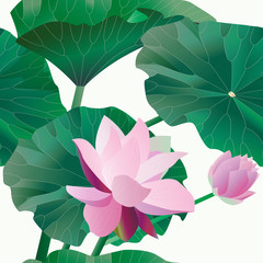 Two pink lotus on stalks with leaves on a white background. Vect
