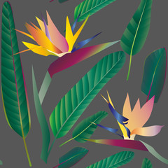 Strelitzia with leaves on a gray background. Seamless pattern.Tr