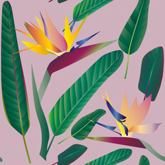 Strelitzia with leaves on a pink background. Seamless pattern.Tr